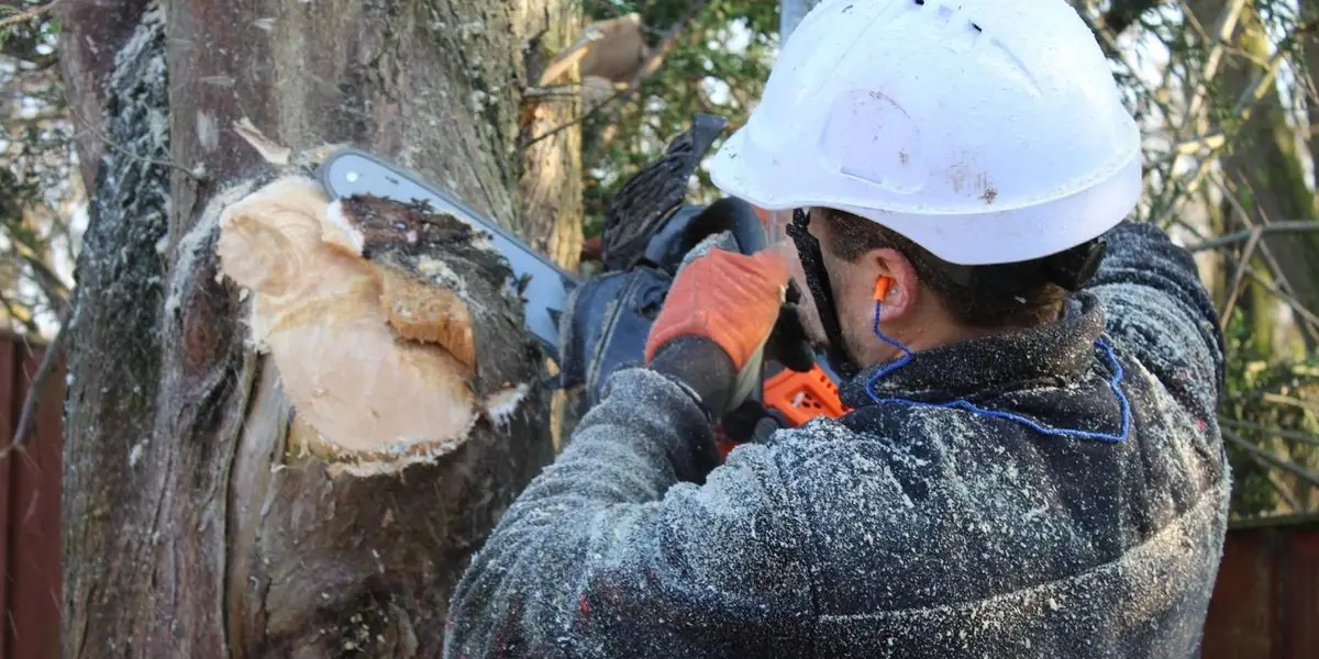 Jackson-Kelly arborist cutting a tree trunk with a chainsaw in full safety gear
